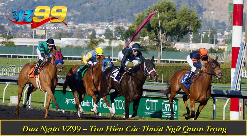 Đua Ngựa VZ99 – Tìm Hiểu Các Thuật Ngữ Quan Trọng Trong Game 2 Đua Ngựa VZ99 – Tìm Hiểu Các Thuật Ngữ Quan Trọng